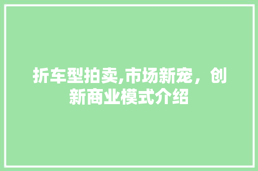 折车型拍卖,市场新宠，创新商业模式介绍