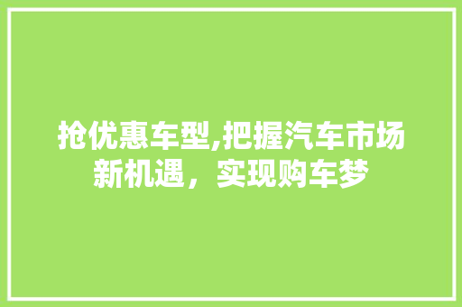 抢优惠车型,把握汽车市场新机遇，实现购车梦