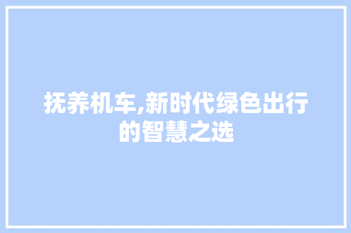 抚养机车,新时代绿色出行的智慧之选