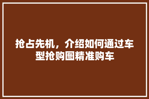抢占先机，介绍如何通过车型抢购图精准购车