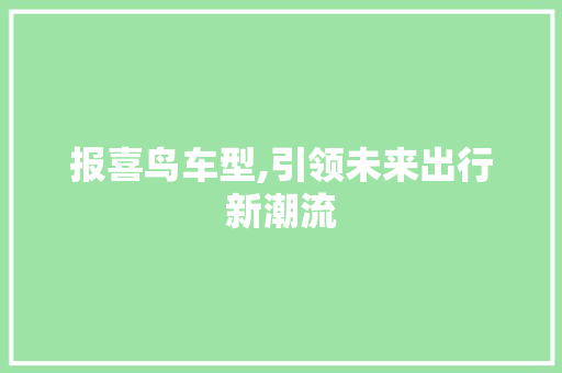 报喜鸟车型,引领未来出行新潮流