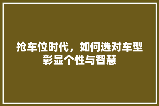 抢车位时代，如何选对车型彰显个性与智慧