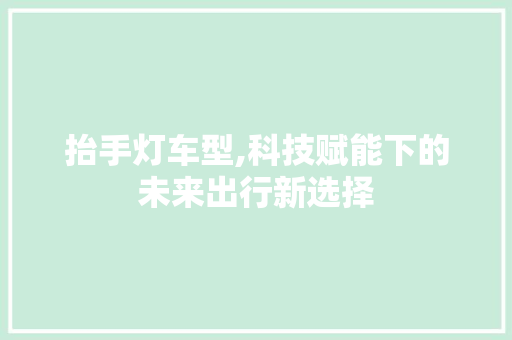 抬手灯车型,科技赋能下的未来出行新选择