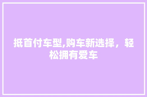 抵首付车型,购车新选择，轻松拥有爱车