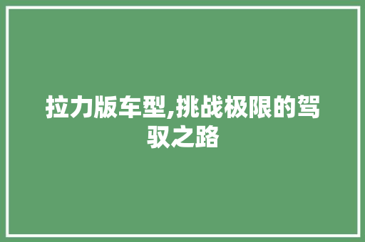 拉力版车型,挑战极限的驾驭之路