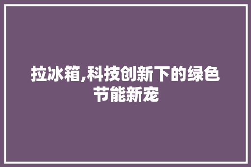 拉冰箱,科技创新下的绿色节能新宠 车身配件