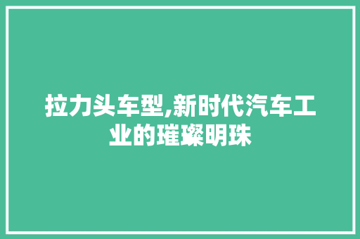 拉力头车型,新时代汽车工业的璀璨明珠