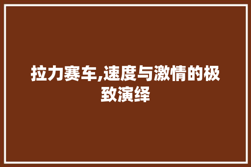 拉力赛车,速度与激情的极致演绎 新款车型