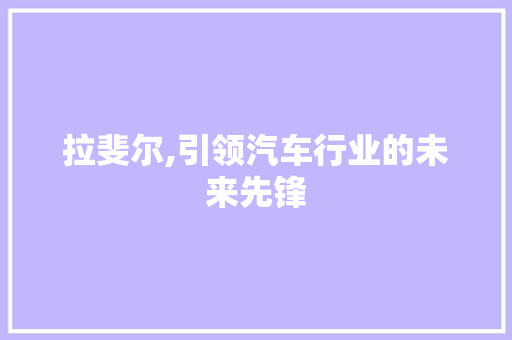 拉斐尔,引领汽车行业的未来先锋