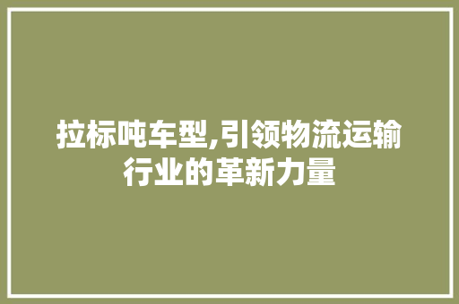 拉标吨车型,引领物流运输行业的革新力量