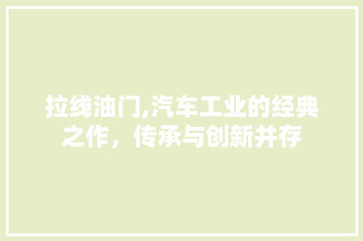 拉线油门,汽车工业的经典之作，传承与创新并存
