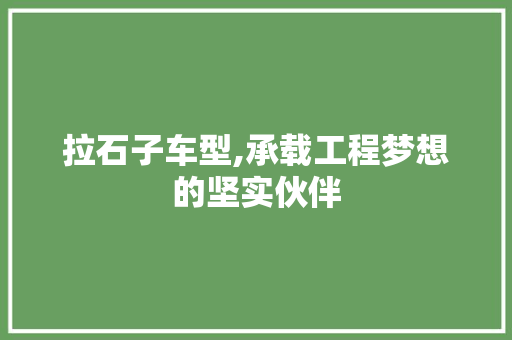 拉石子车型,承载工程梦想的坚实伙伴