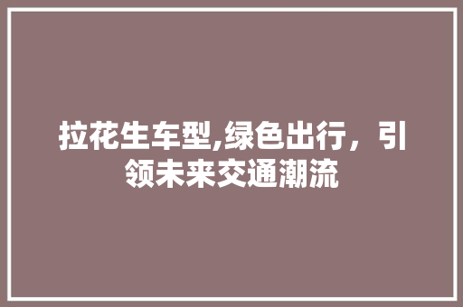 拉花生车型,绿色出行，引领未来交通潮流