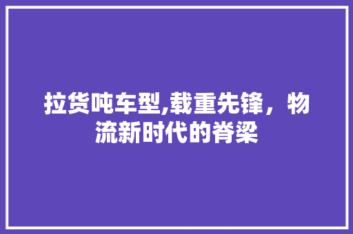拉货吨车型,载重先锋，物流新时代的脊梁