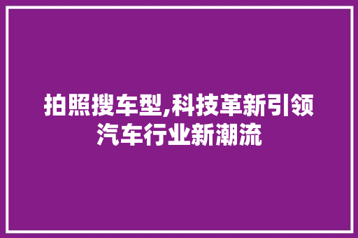 拍照搜车型,科技革新引领汽车行业新潮流