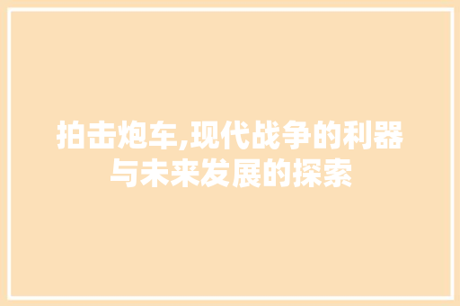 拍击炮车,现代战争的利器与未来发展的探索