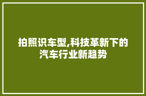 拍照识车型,科技革新下的汽车行业新趋势