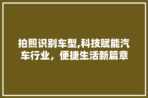 拍照识别车型,科技赋能汽车行业，便捷生活新篇章