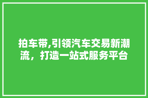 拍车带,引领汽车交易新潮流，打造一站式服务平台