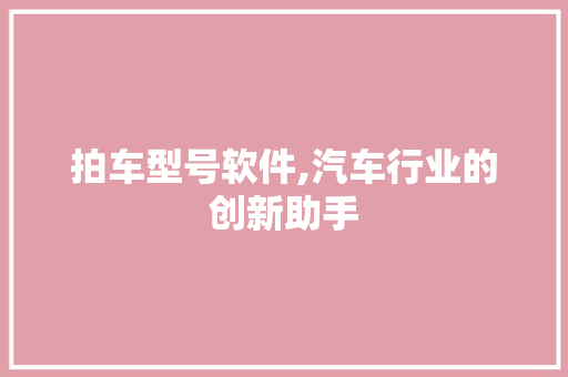 拍车型号软件,汽车行业的创新助手