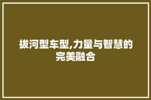 拔河型车型,力量与智慧的完美融合