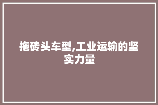 拖砖头车型,工业运输的坚实力量