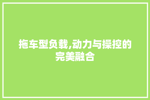 拖车型负载,动力与操控的完美融合