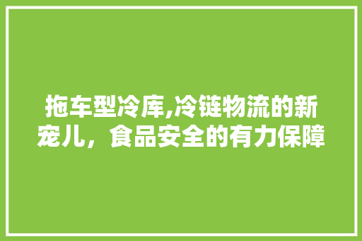 拖车型冷库,冷链物流的新宠儿，食品安全的有力保障