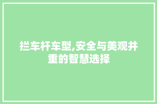 拦车杆车型,安全与美观并重的智慧选择