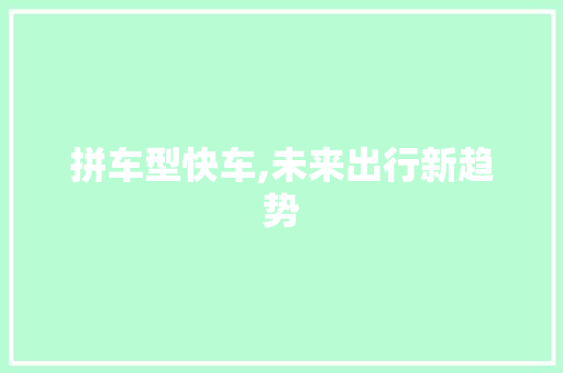 拼车型快车,未来出行新趋势