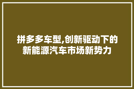 拼多多车型,创新驱动下的新能源汽车市场新势力
