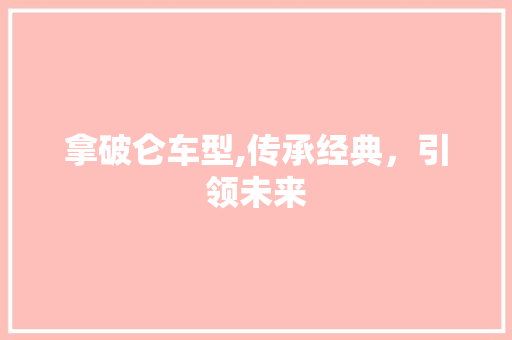 拿破仑车型,传承经典，引领未来