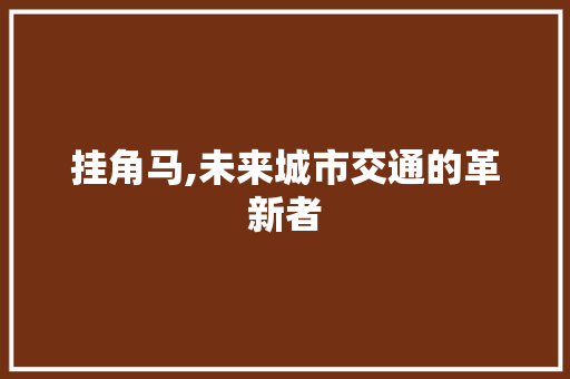 挂角马,未来城市交通的革新者
