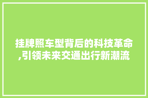 挂牌照车型背后的科技革命,引领未来交通出行新潮流