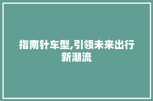 指南针车型,引领未来出行新潮流