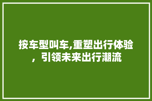 按车型叫车,重塑出行体验，引领未来出行潮流