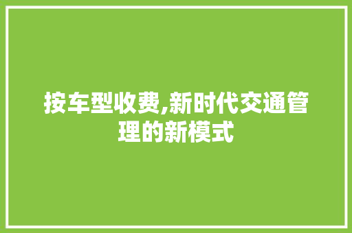 按车型收费,新时代交通管理的新模式