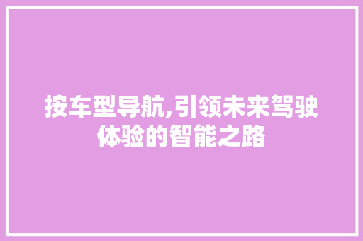 按车型导航,引领未来驾驶体验的智能之路