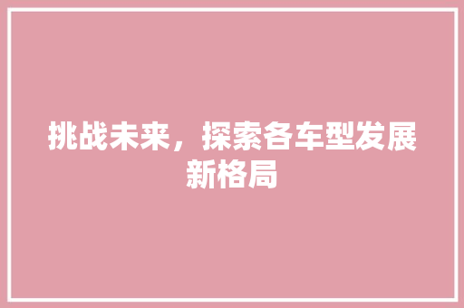 挑战未来，探索各车型发展新格局