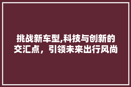 挑战新车型,科技与创新的交汇点，引领未来出行风尚
