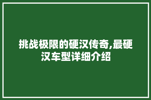 挑战极限的硬汉传奇,最硬汉车型详细介绍 发动机配件