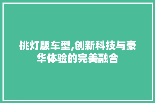 挑灯版车型,创新科技与豪华体验的完美融合