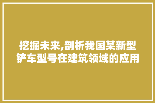 挖掘未来,剖析我国某新型铲车型号在建筑领域的应用