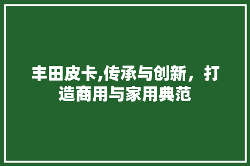 丰田皮卡,传承与创新，打造商用与家用典范