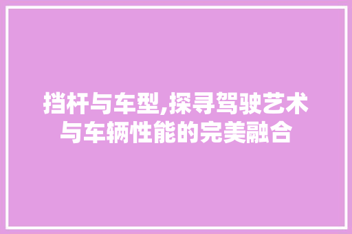 挡杆与车型,探寻驾驶艺术与车辆性能的完美融合 车身配件