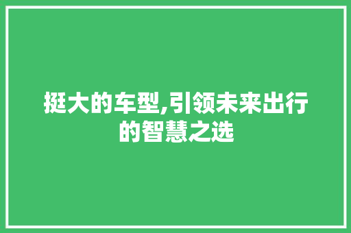 挺大的车型,引领未来出行的智慧之选