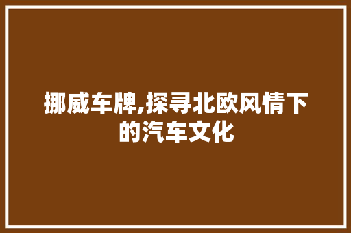 挪威车牌,探寻北欧风情下的汽车文化 车灯配件