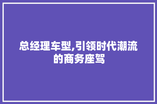 总经理车型,引领时代潮流的商务座驾