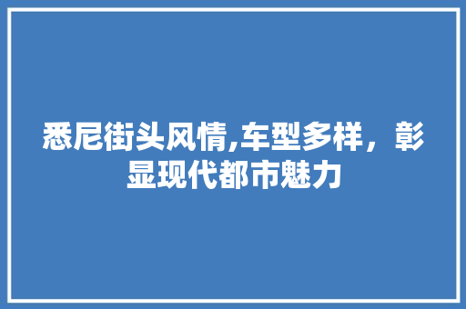 悉尼街头风情,车型多样，彰显现代都市魅力
