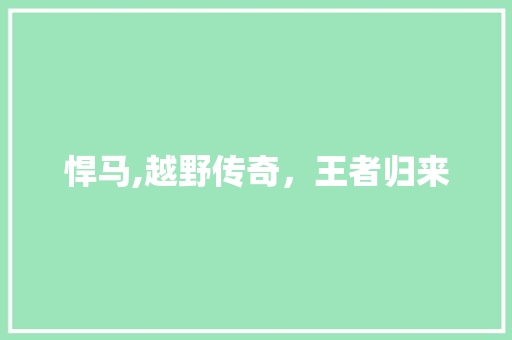 悍马,越野传奇，王者归来